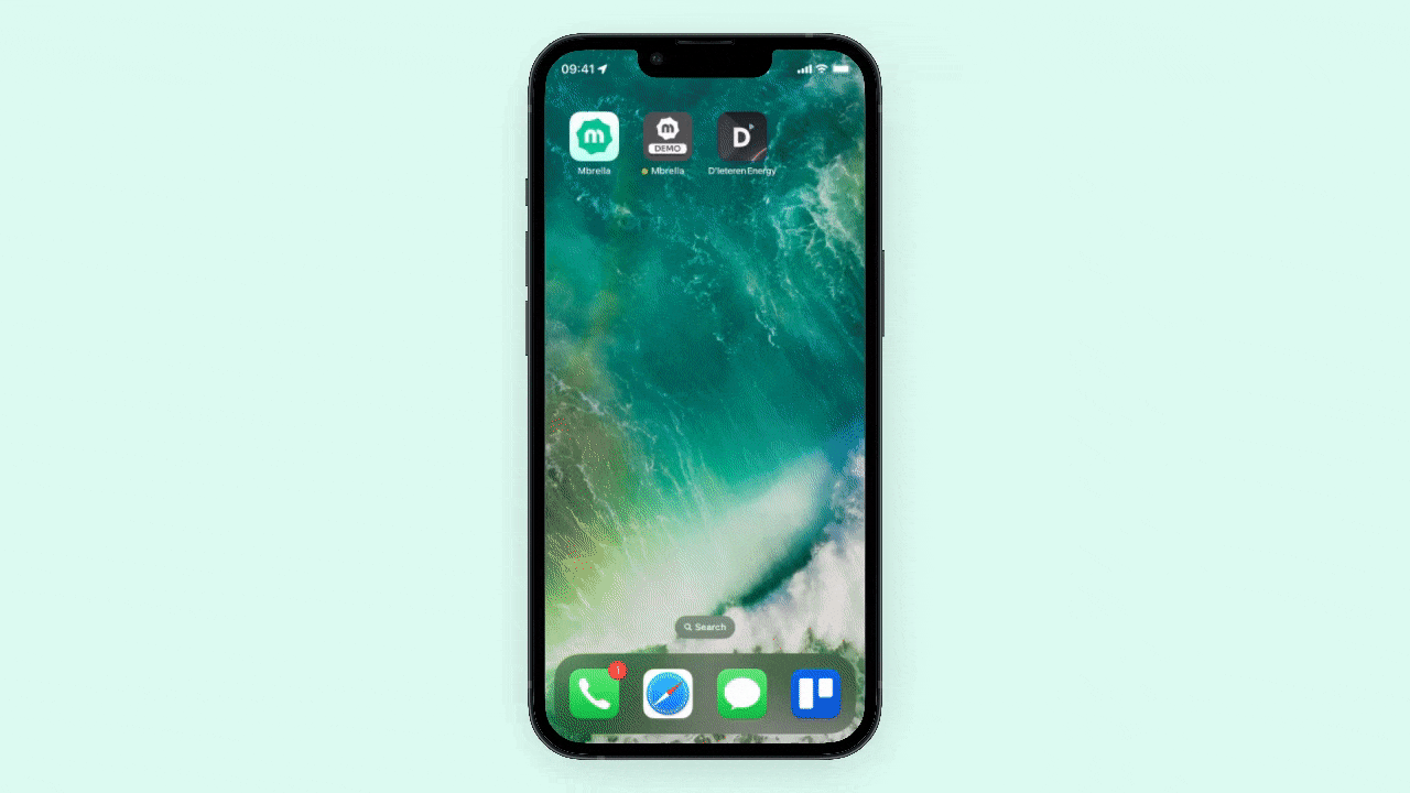 Mobile app mult-budget view