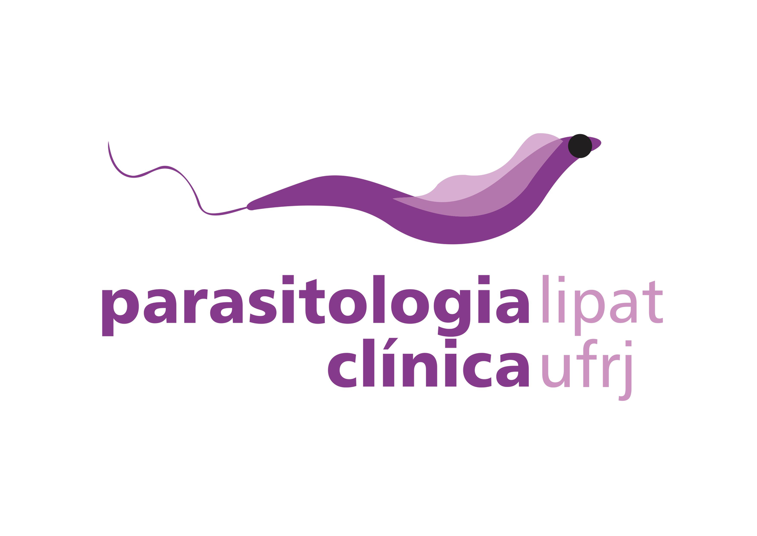 LIPAT_marca fim_em curvas