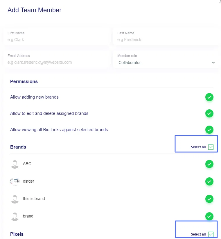Team-member-select-all-option
