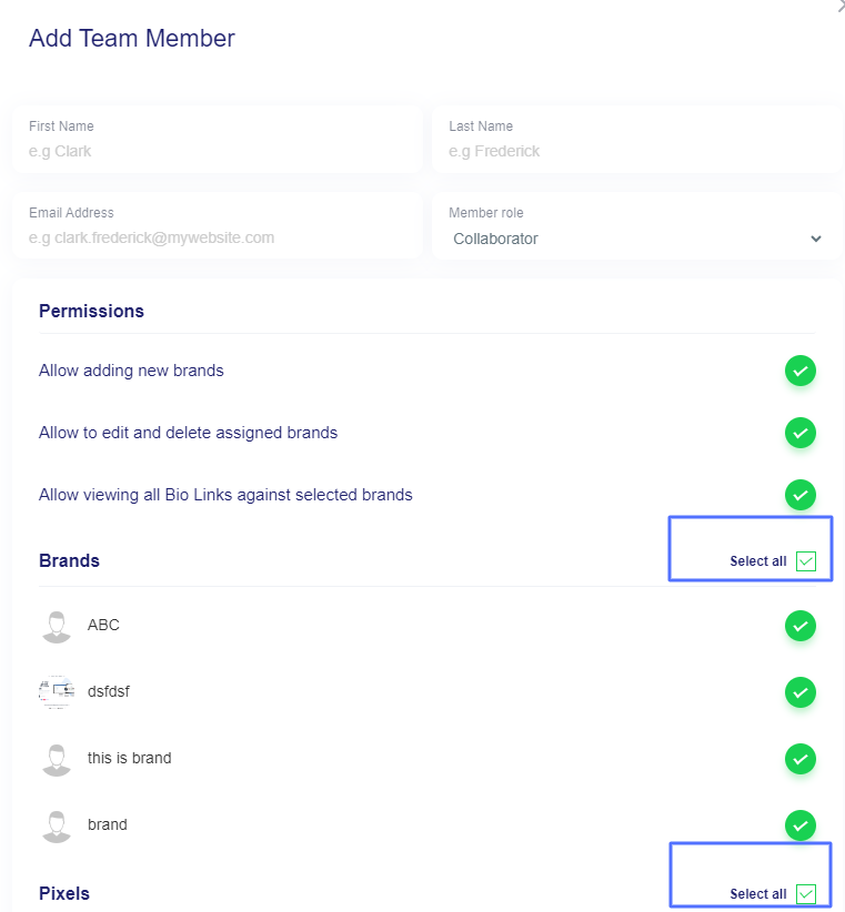 Team-member-select-all-option