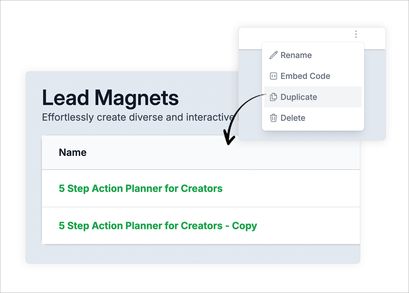 duplicate lead magnets