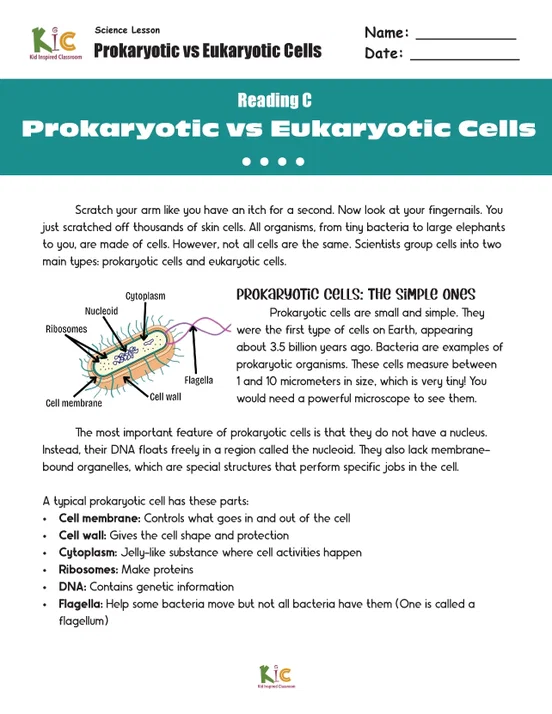 U3 L1 Prokaryotic and Eukaryotic Cells_Page_12