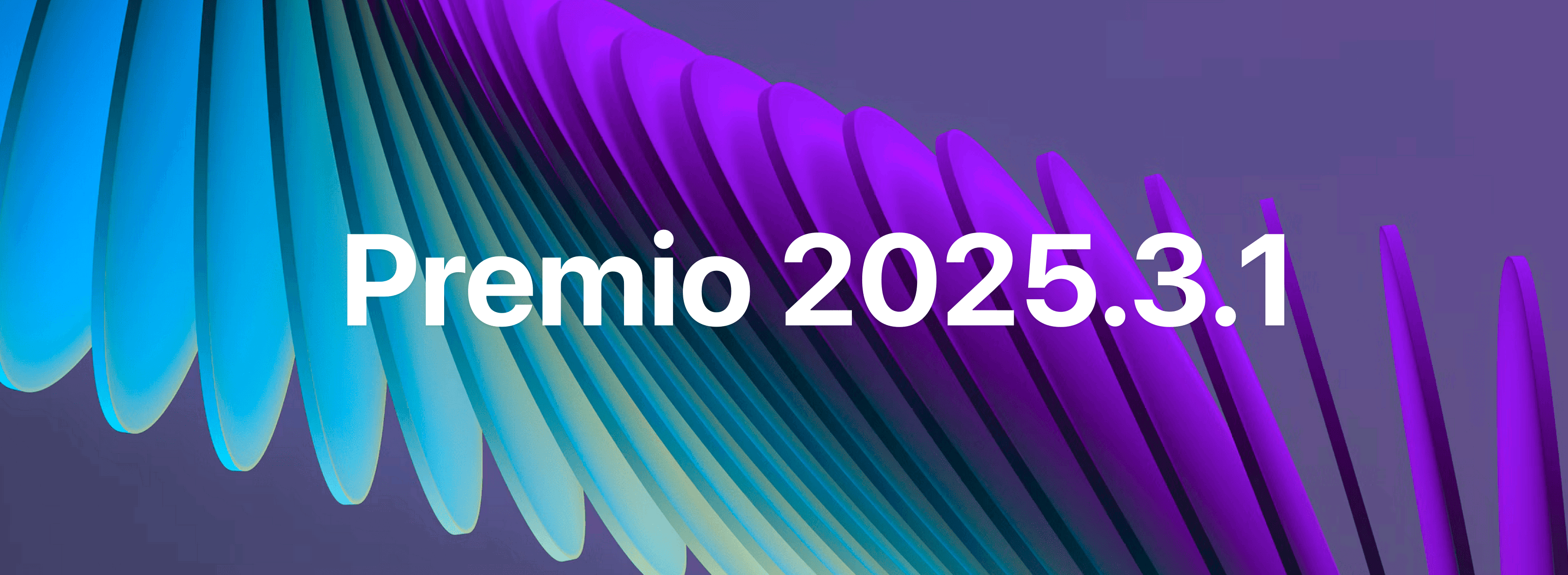 Premio.2025.3.1