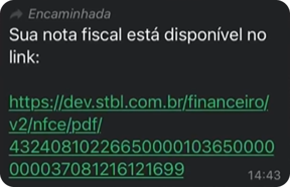 Captura de tela 2024-10-28 093839 1