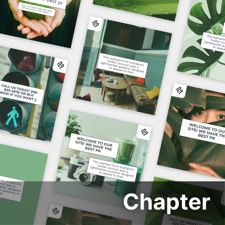 Chapter